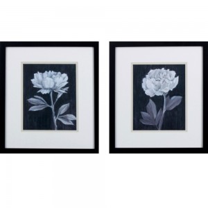 Black & White Flowers 2 Wall Art - Set of 2