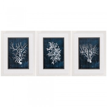 Wood Coral Graphic Wall Prints - Set of 3